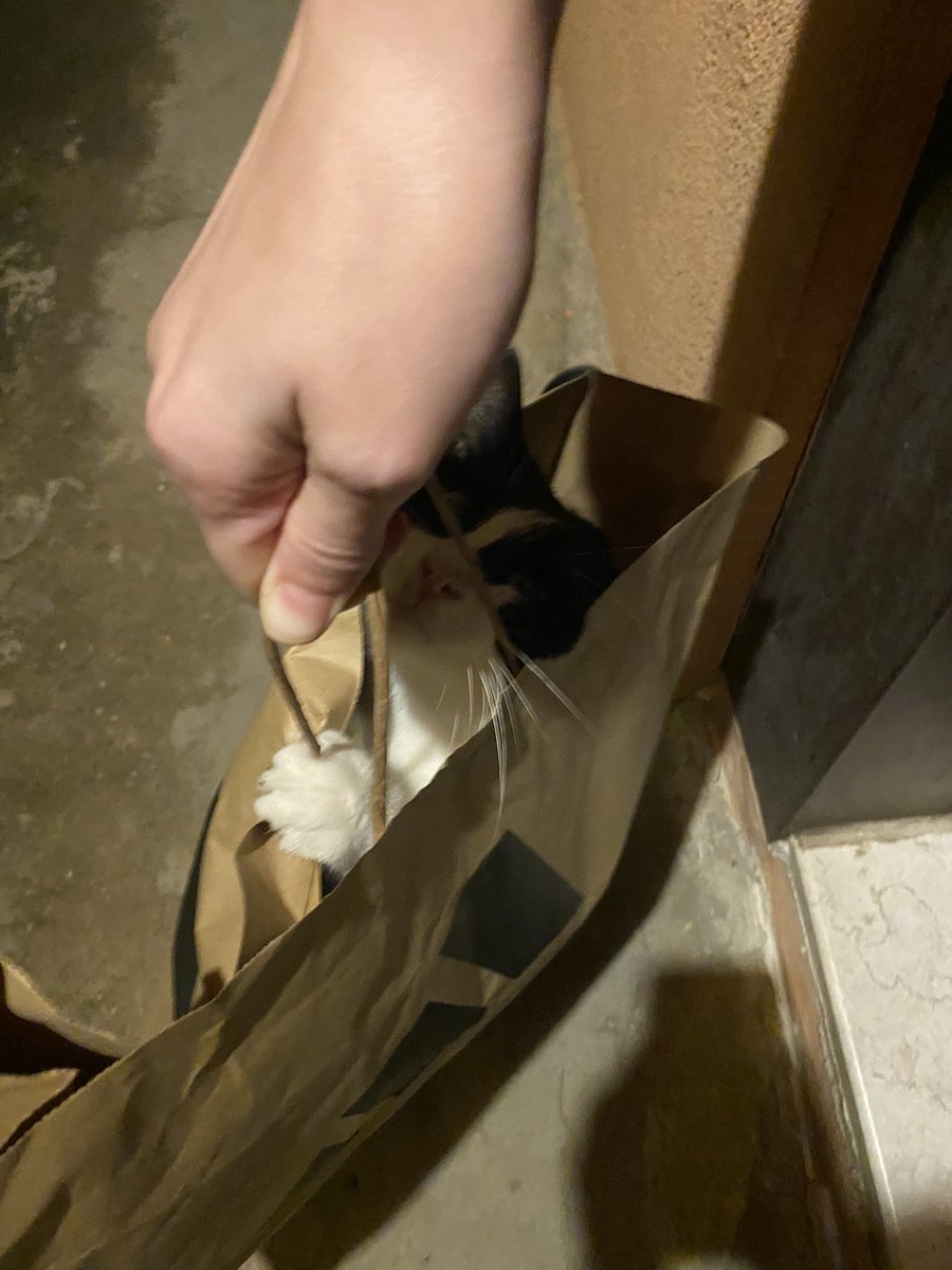 Kapıma böyle bir bebek bırakıp kaçtılar bakamayacaksanız doğurmayın canım

 #RegaibKandili #Persembe