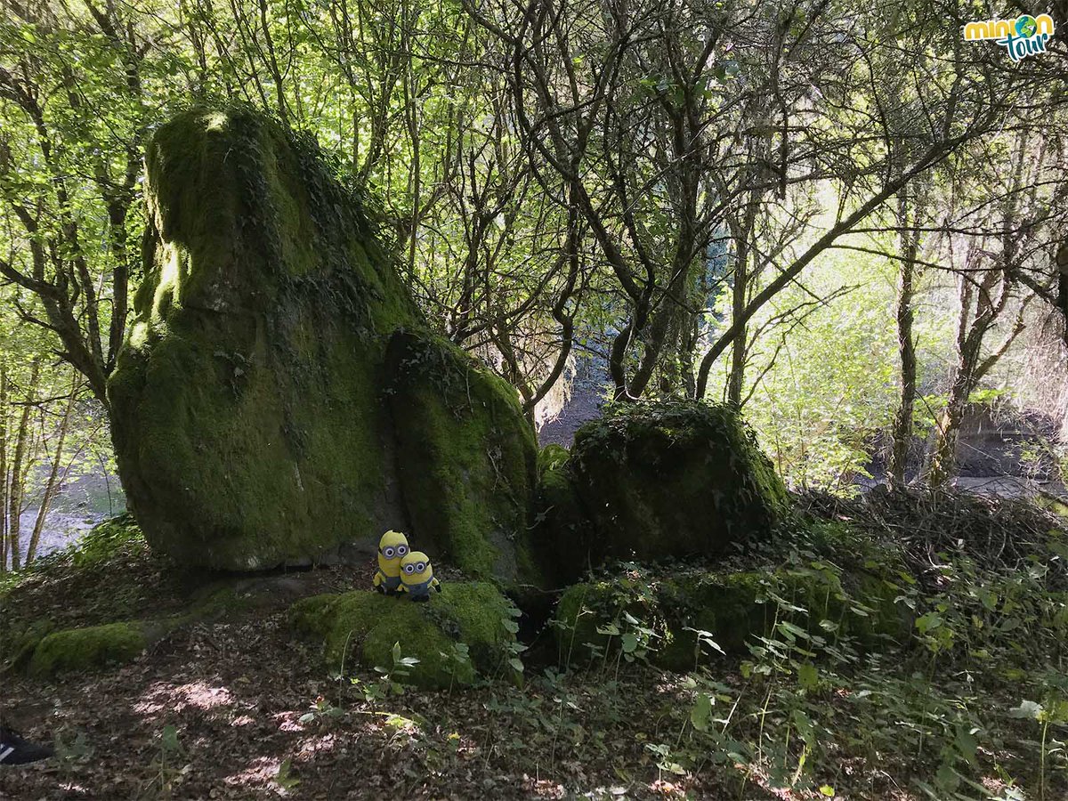 MiniOnTour tweet media