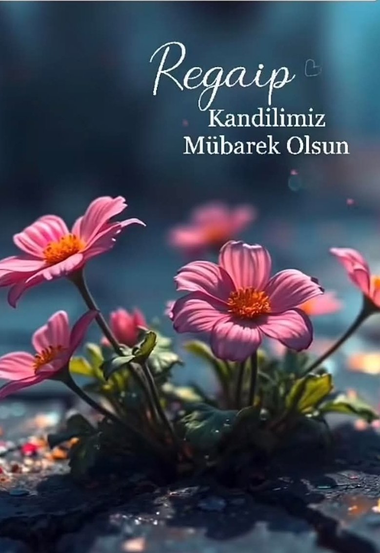 Regaip kandiliniz mübarek olsun