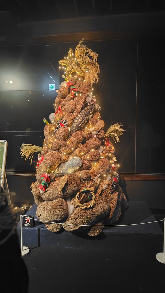クリスマスなので友人と京都水族館の例のツリー見に行きました！(通路灯撮ったわけじゃないです目立ってるけど)