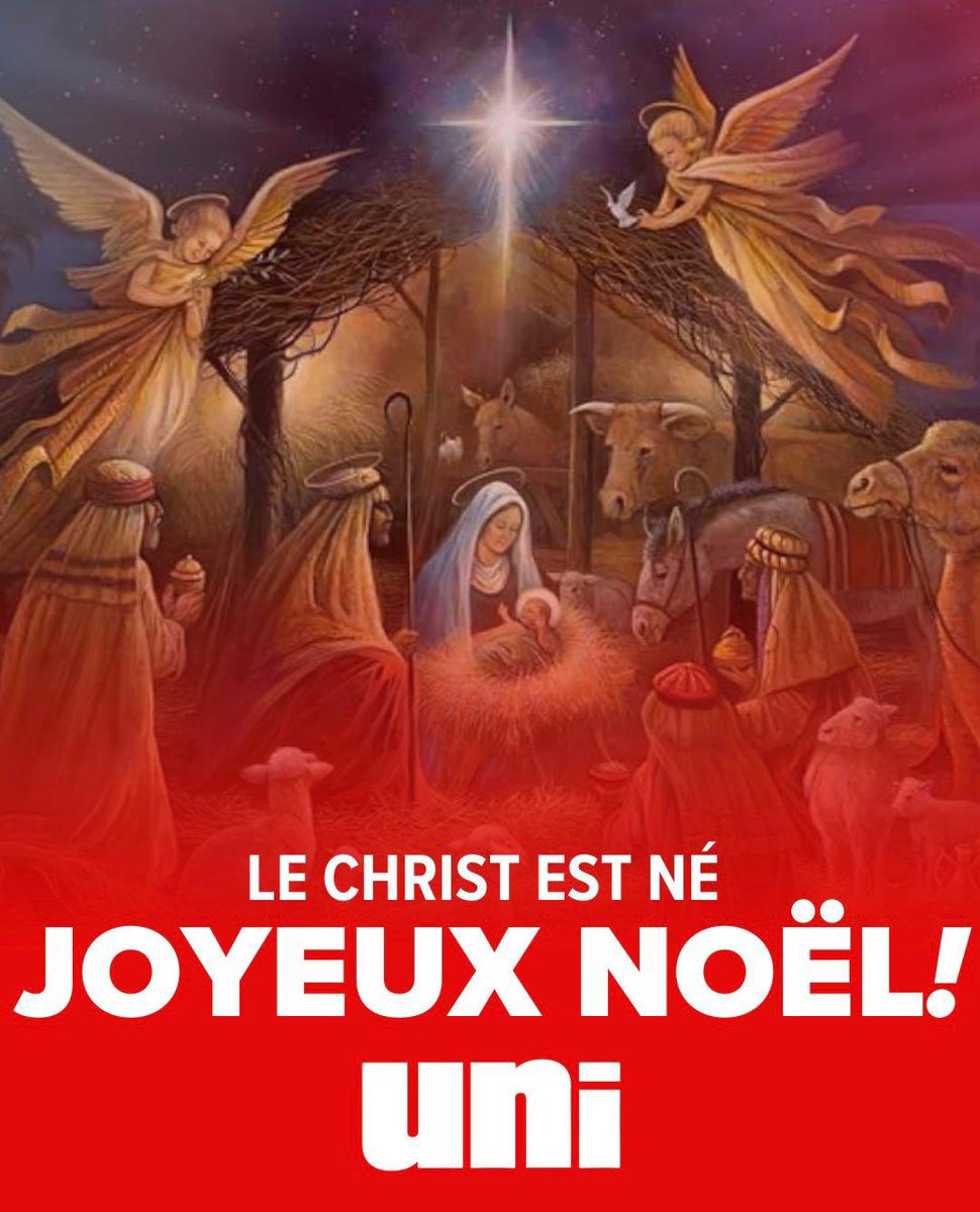 unitoulouse's tweet photo. L'UNI Toulouse vous souhaite un Joyeux et Saint Noël ! https://t.co/yxo5v7dq0W