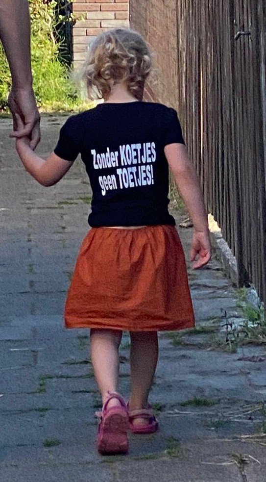 Marcus Pluijm 🏛 🚜 ☢️ 🇮🇱 📵 tweet media