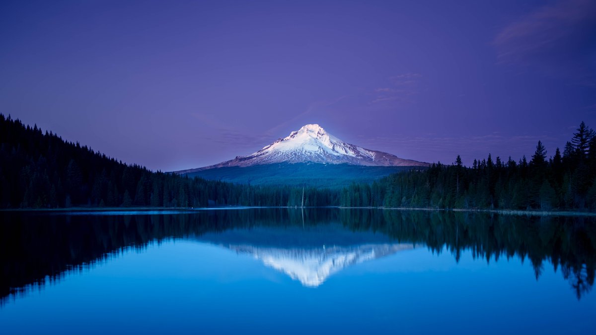 aymen_dev tweet picture