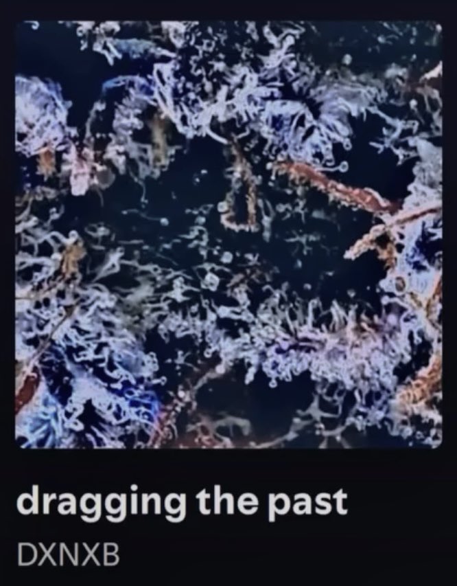 メリクリリース🎄

linkco.re/p4NvPr5B