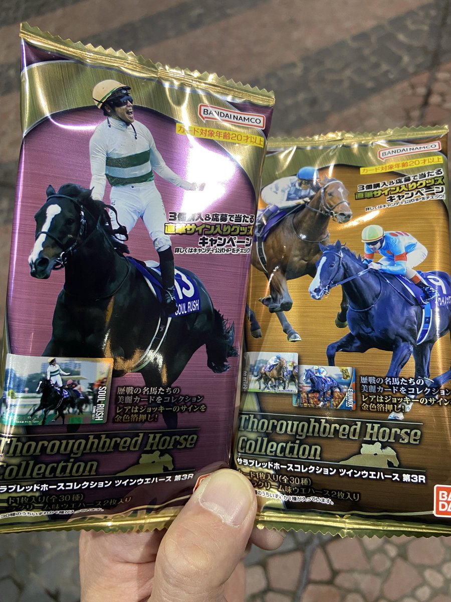 最終値下げ　サラブレッドホースコレクション 次のシゲカズ公演まで時間あるからドンキで買って見た。 #サラブレッド