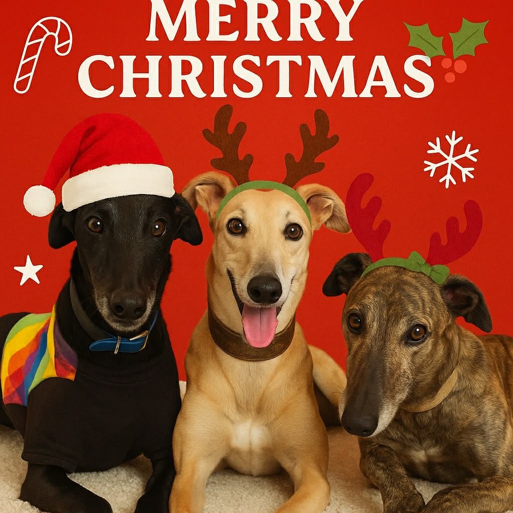 Gerald Lanigan tweet media