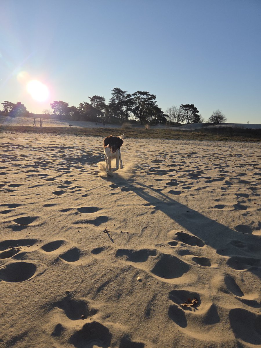 Voor de 2de dag op rij heerlijk  dit draakje mee genomen naar soest