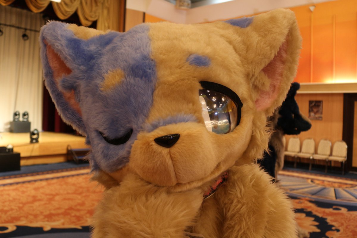 <a href="/Suyasuyafurry/">守夜</a> 守夜（しゅや）01019

#Kemocon18