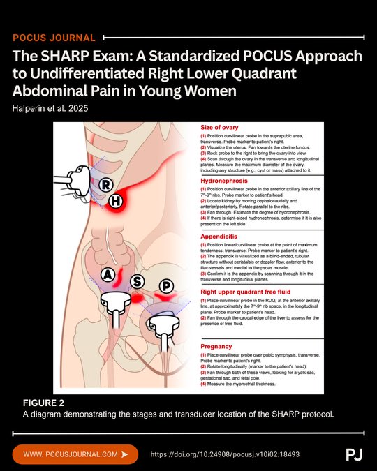 POCUS Journal tweet media