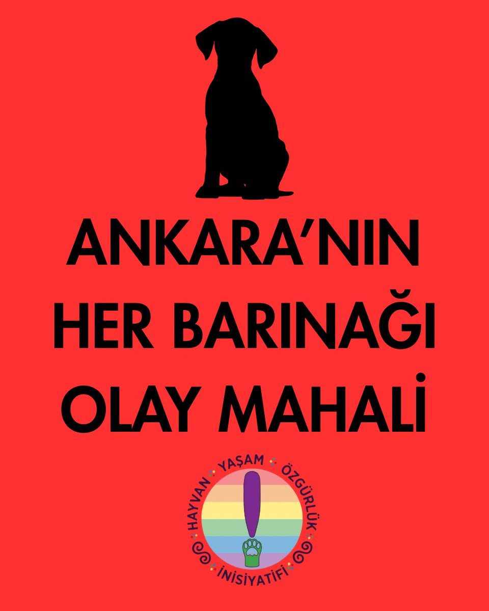 Hayvan, Yaşam, Özgürlük İnisiyatifi tweet media