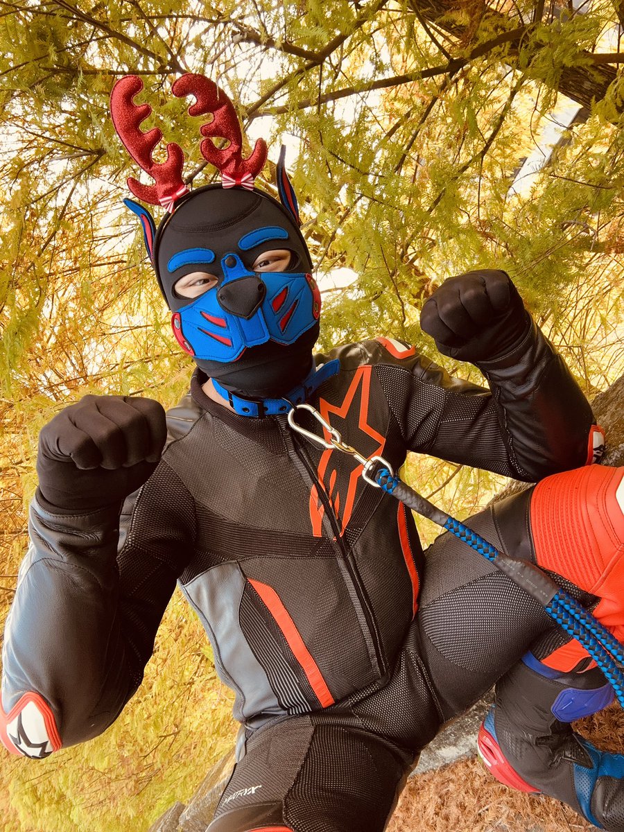 appliedforfun's tweet image. 聖誕快樂🐶