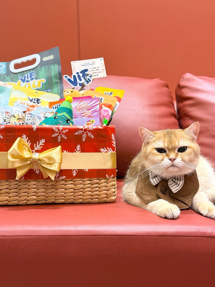 gulfkanawut's tweet image. Merry Vifmas🐈🎄
#VIFEveryDayaGoodDay #วิฟให้ทุกวันเป็นวันที่ดี #โตมากับวิฟ