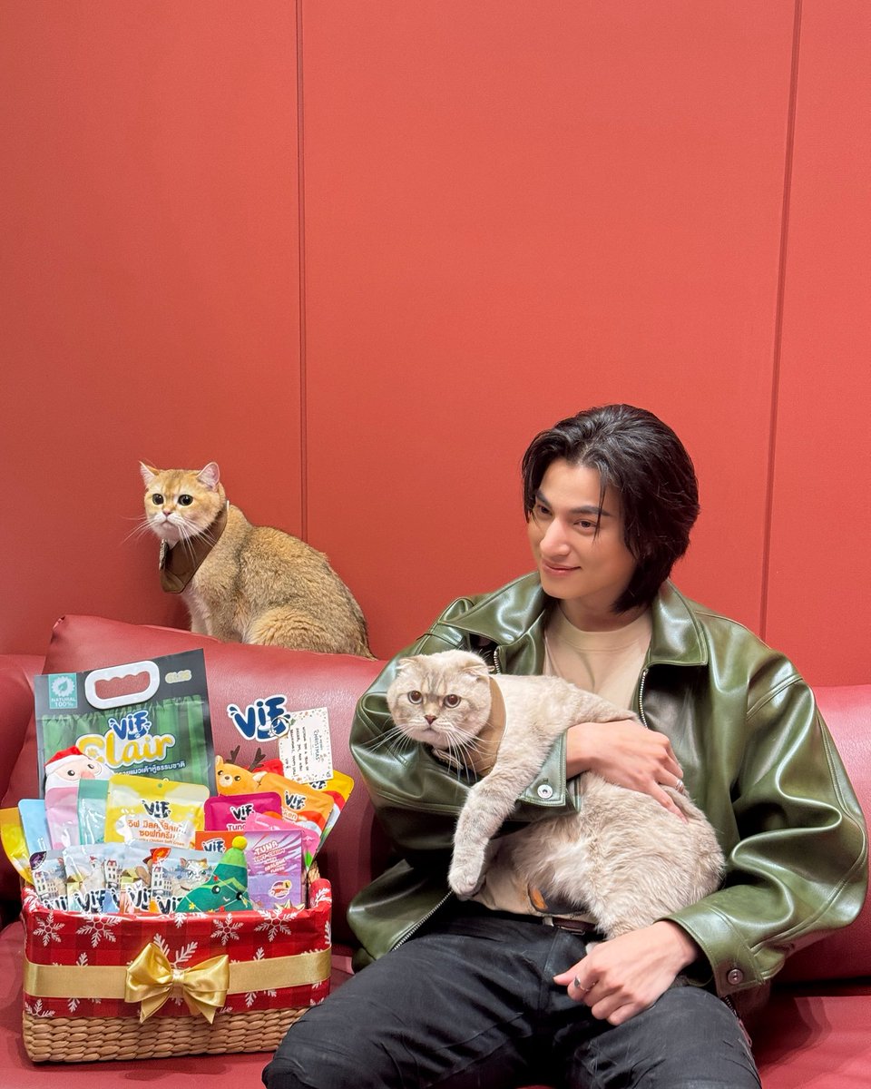 gulfkanawut's tweet image. Merry Vifmas🐈🎄
#VIFEveryDayaGoodDay #วิฟให้ทุกวันเป็นวันที่ดี #โตมากับวิฟ