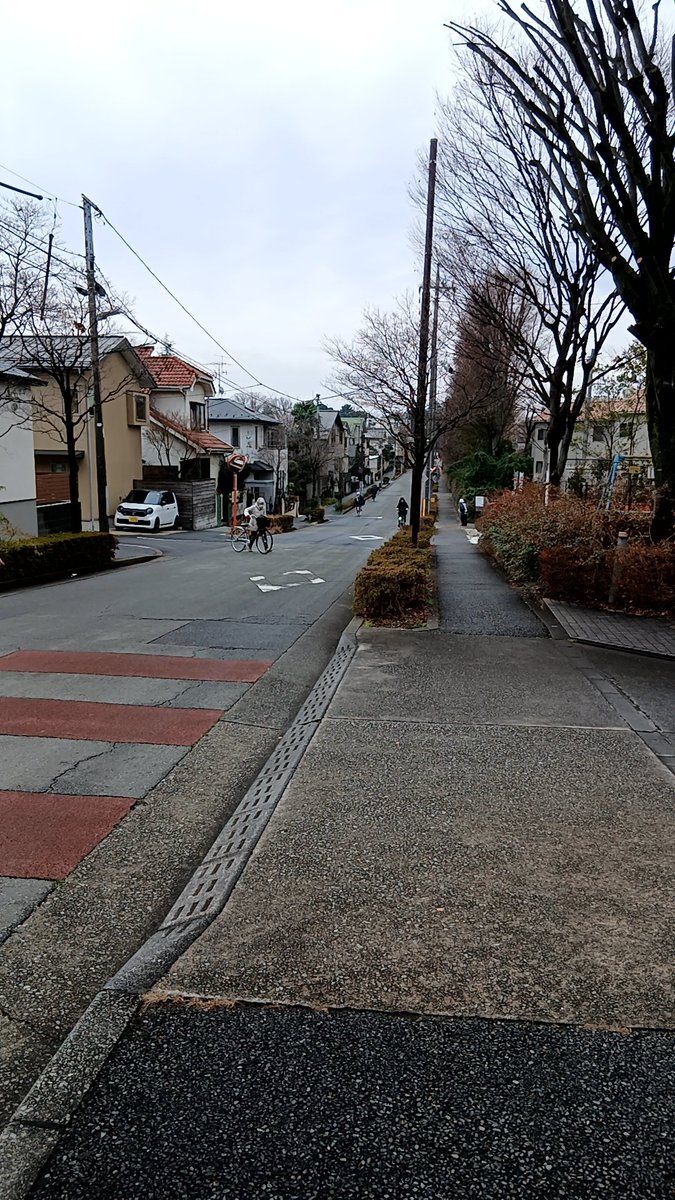 hapi44's tweet image. 仙川上端部からさらにさかのぼる道を歩いてきました、アメーバブログにまとめます。