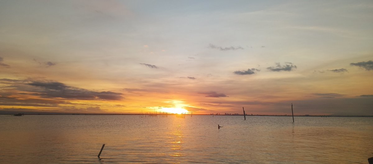 hamburger 🍔 tweet media