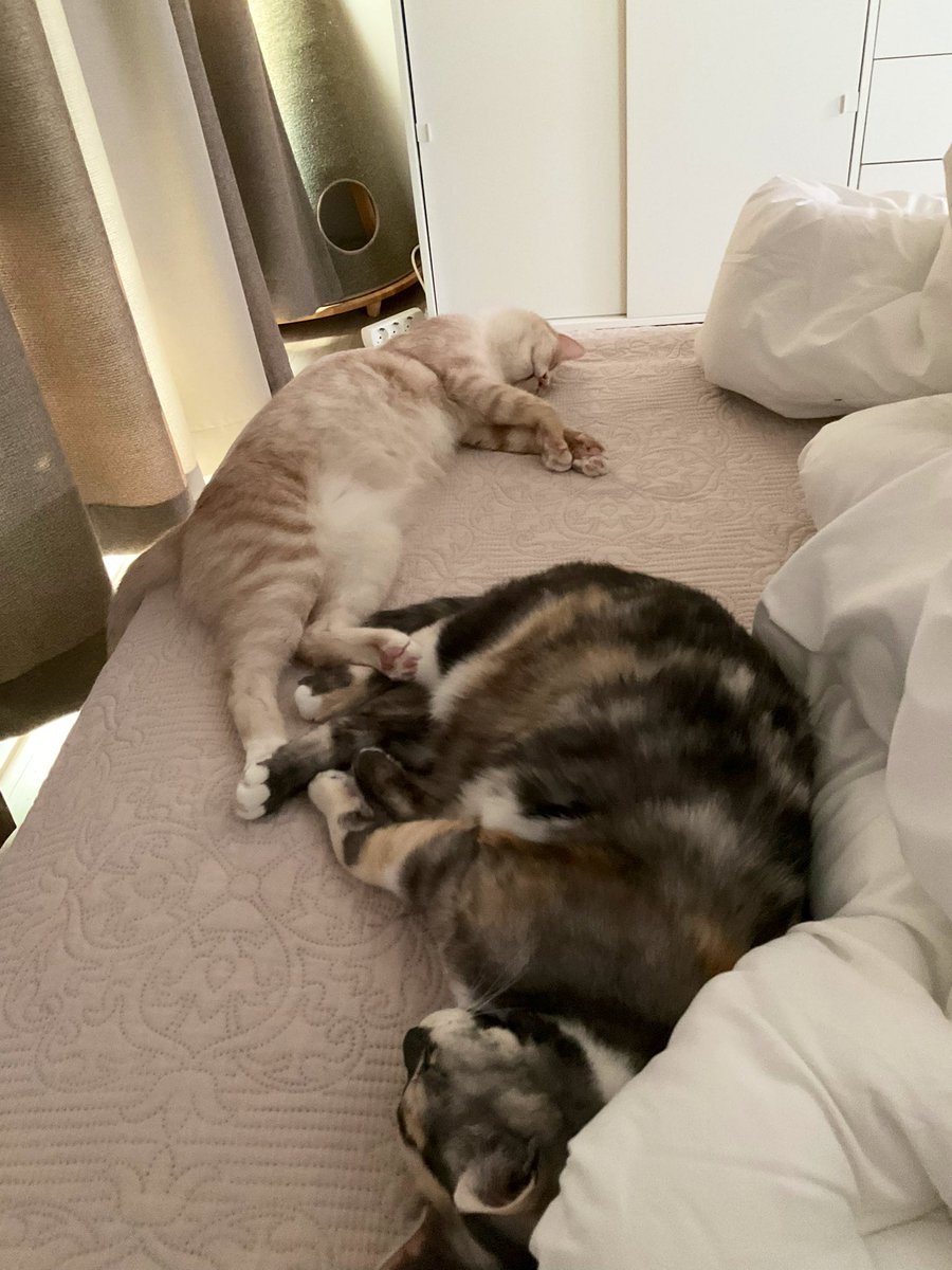 김고양s (@kimgoyangs) on Twitter photo 