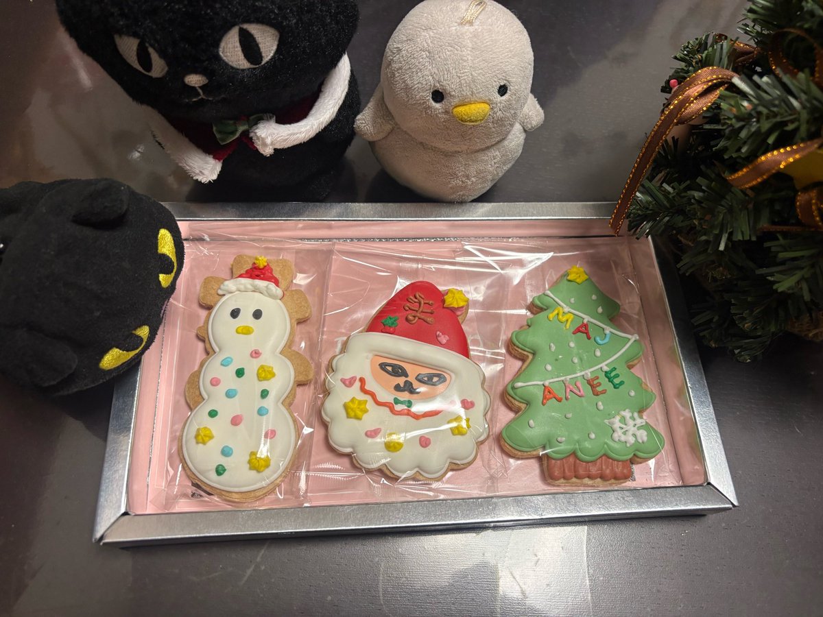 もちぴょん (@mochipyon) / Posts / X