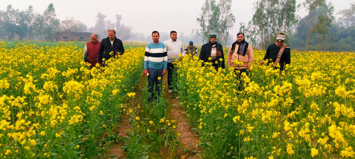🔬🌱 विज्ञान की खेती, किसान की तरक्की
गन्ने के साथ सहफसली खेती से बदल रही खेती की तस्वीर 🌾✨@upcane <a href="/CcDeoria/">DY CC DEORIA</a> <a href="/DyccRangeLko/">Dycc Lucknow</a> <a href="/CcGorakhpur/">Dy CC Gorakhpur</a> <a href="/dyccfaizabad/">DyCC Ayodhya</a> <a href="/Scdi_Bisalpur/">SCDI BISALPUR</a> <a href="/SCDIBarkheda/">SCDI BARKHERA</a> <a href="/scdipilibhit/">Scdipilibhit</a> <a href="/PilibhitSachiv/">Sachiv Pilibhit</a> <a href="/PilibhitSachiv/">Sachiv Pilibhit</a>
