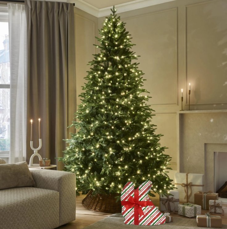 following every goomy fan tweet media