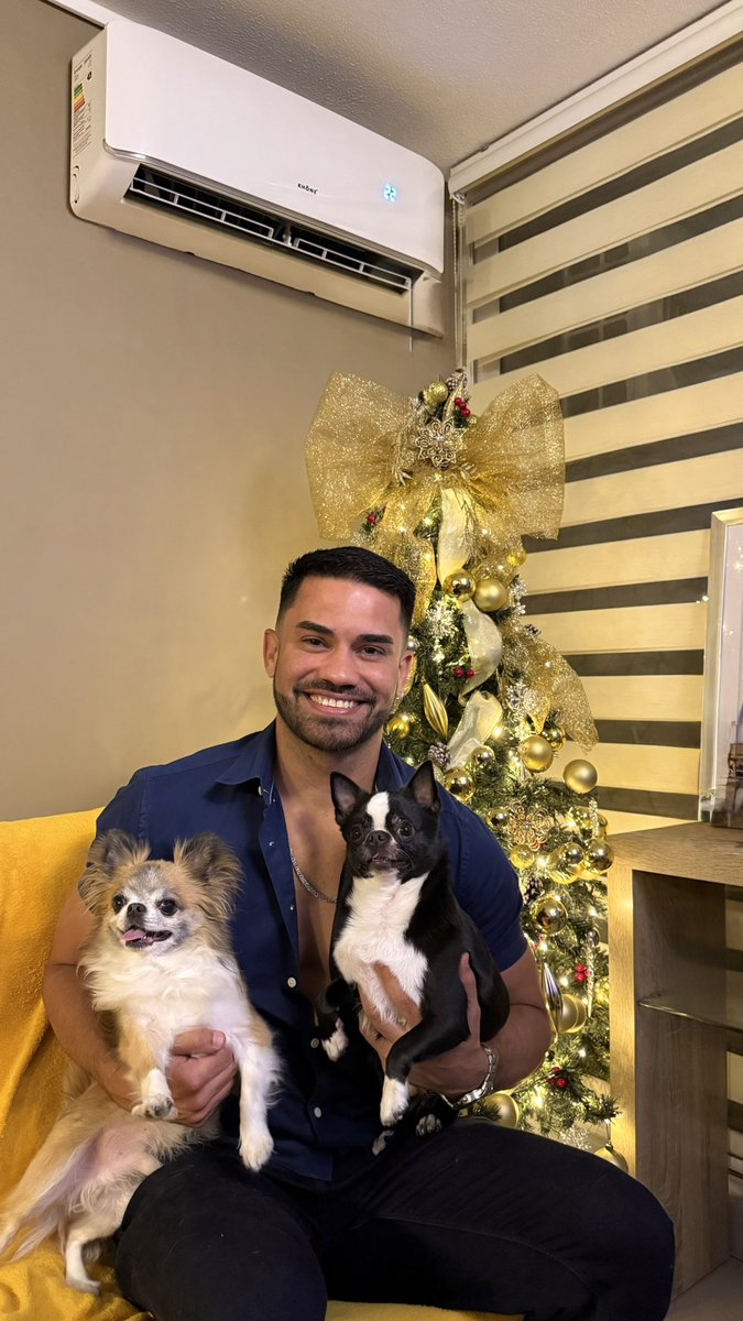 eric1891's tweet image. Merry Christmas ✨💙