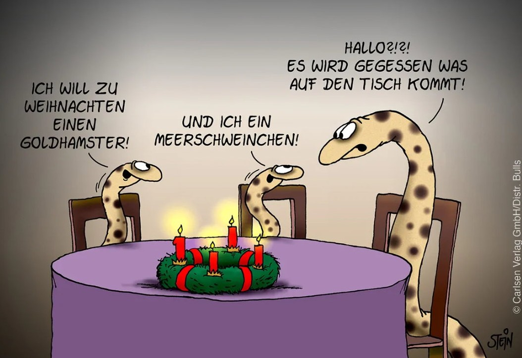 🎄 😋 Überall, immer der Streit ums Essen 😋 🎄