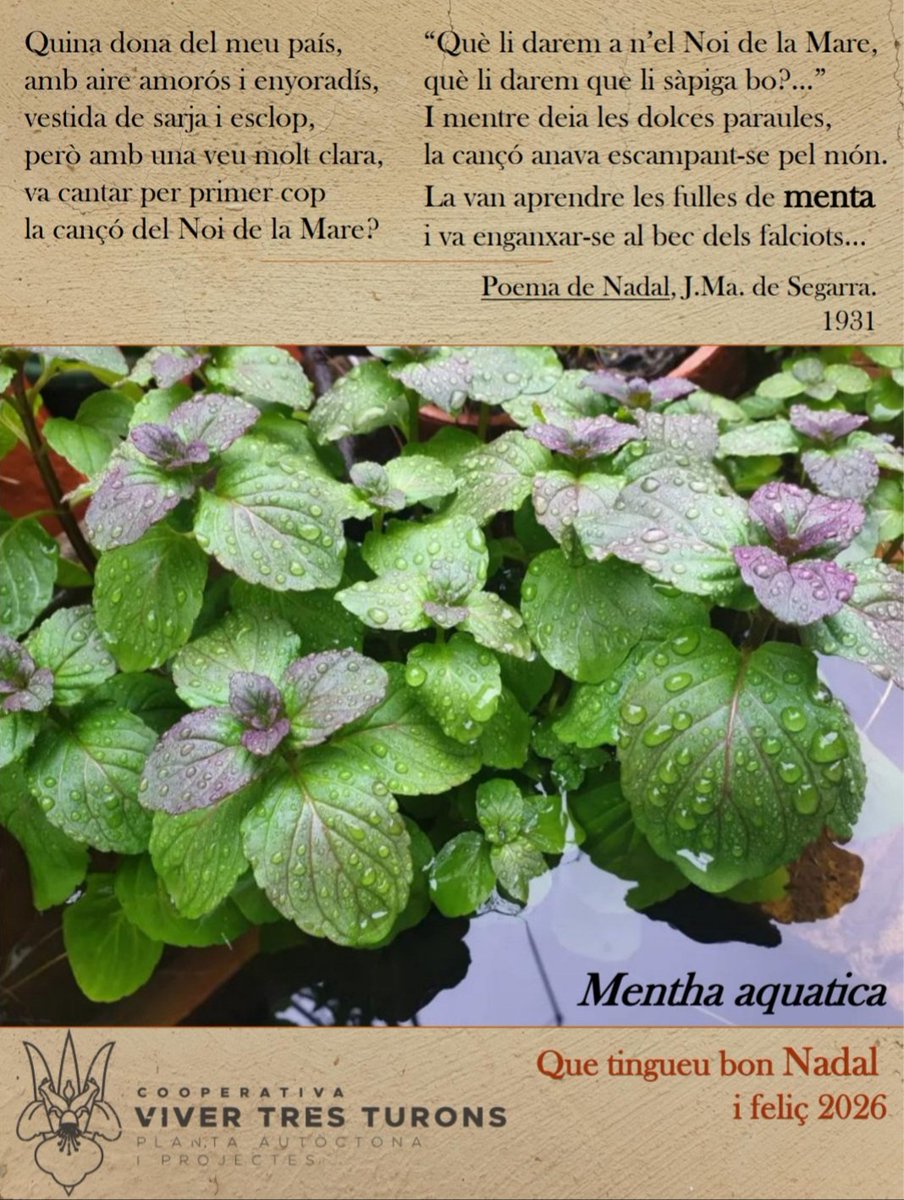 Viver Tres Turons tweet media