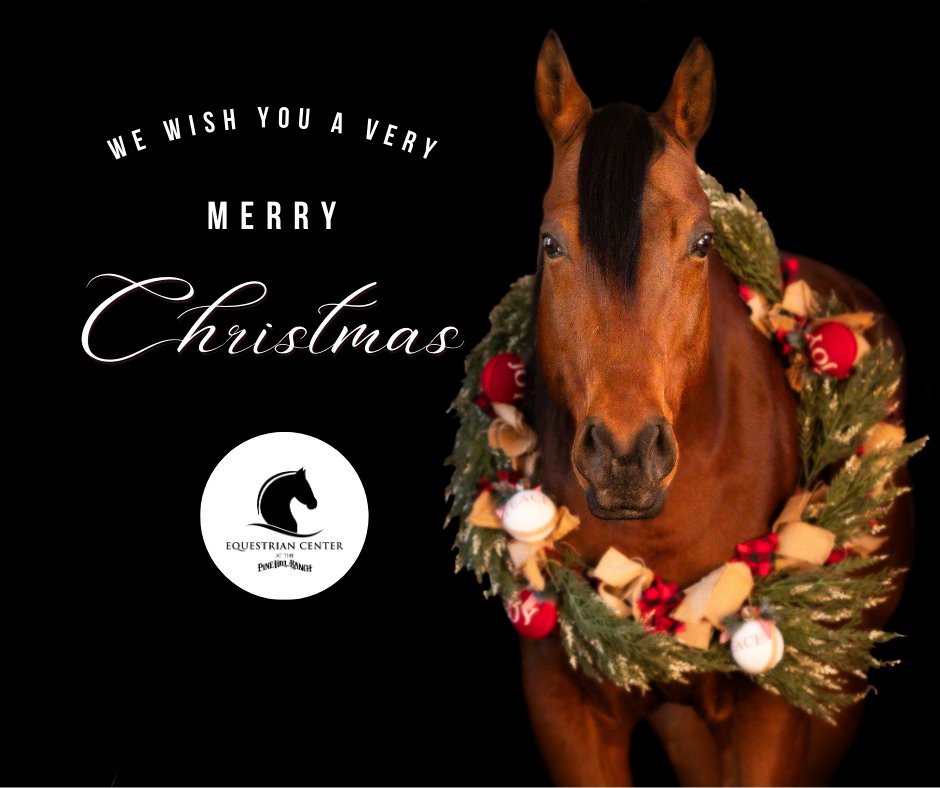 🎄🐴 Merry Christmas from The Pine Hill Ranch 🐴🎄
Wishing you a season filled with peace, joy, and special moments surrounded by family, friends, and the beauty of nature. From our ranch family to yours—have a very Merry Christmas! ✨