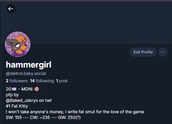 hammergirl tweet media