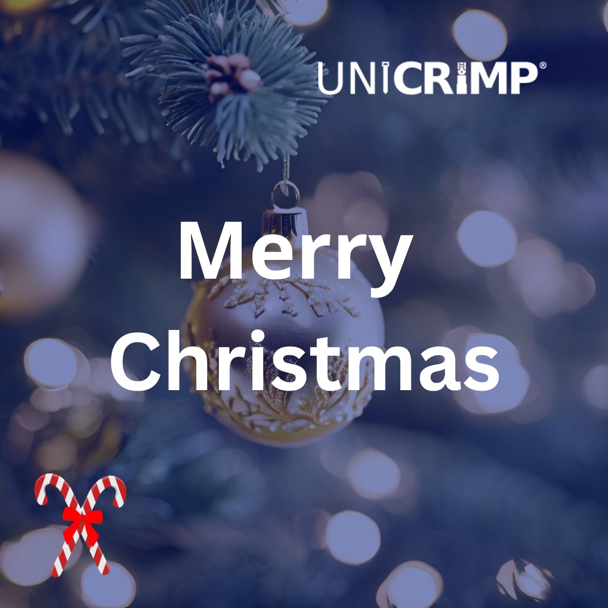 Unicrimp's tweet image. Merry Christmas &amp;amp; a Happy New Year from the Unicrimp team! 🎁

Thank you for your continued support this year - we look forward to working with you again in 2026!

#Christmas #NewYear #Holidays