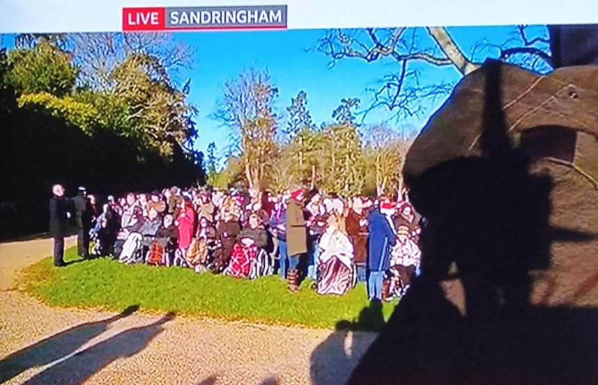 Justintime tweet media