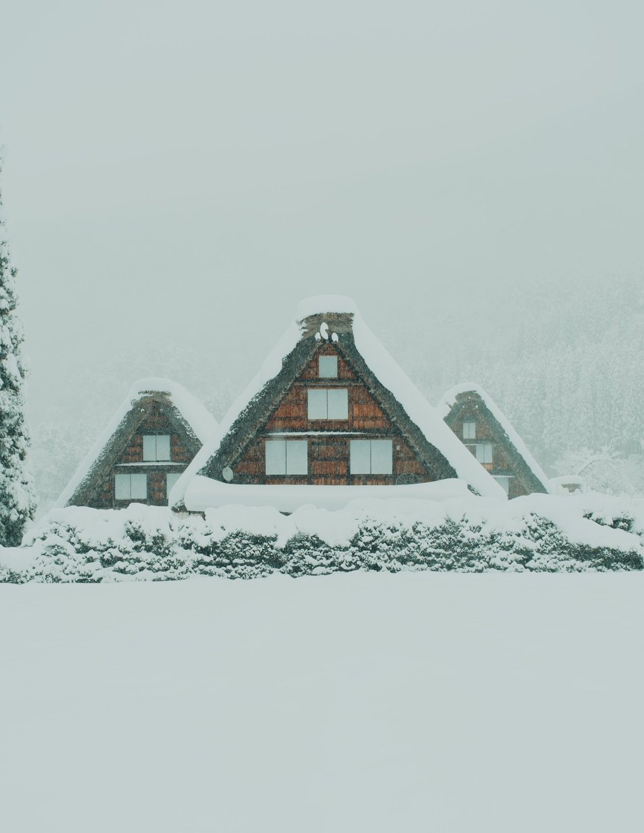 Riki Shinagawa tweet media