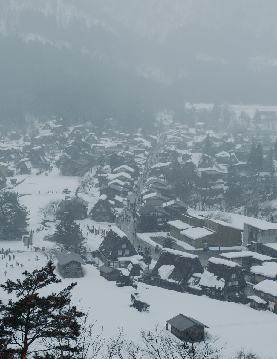 Riki Shinagawa tweet media