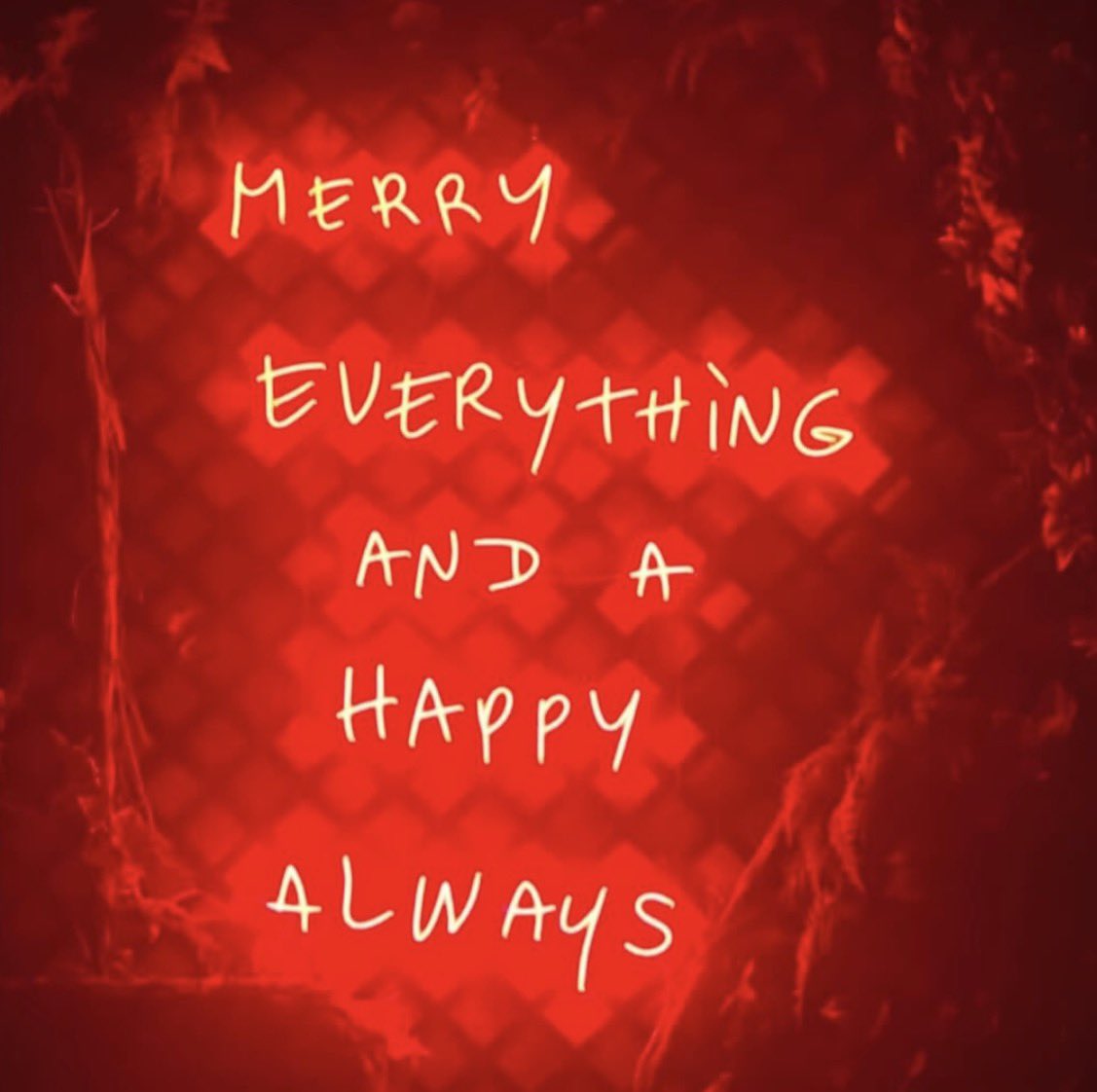 Teamipswich Swimming tweet media