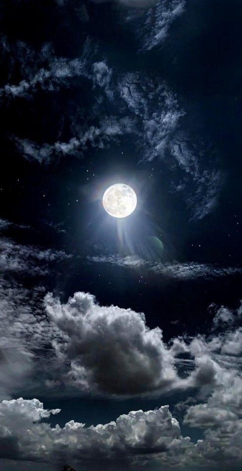 MOON (@dailymoonx) on Twitter photo 