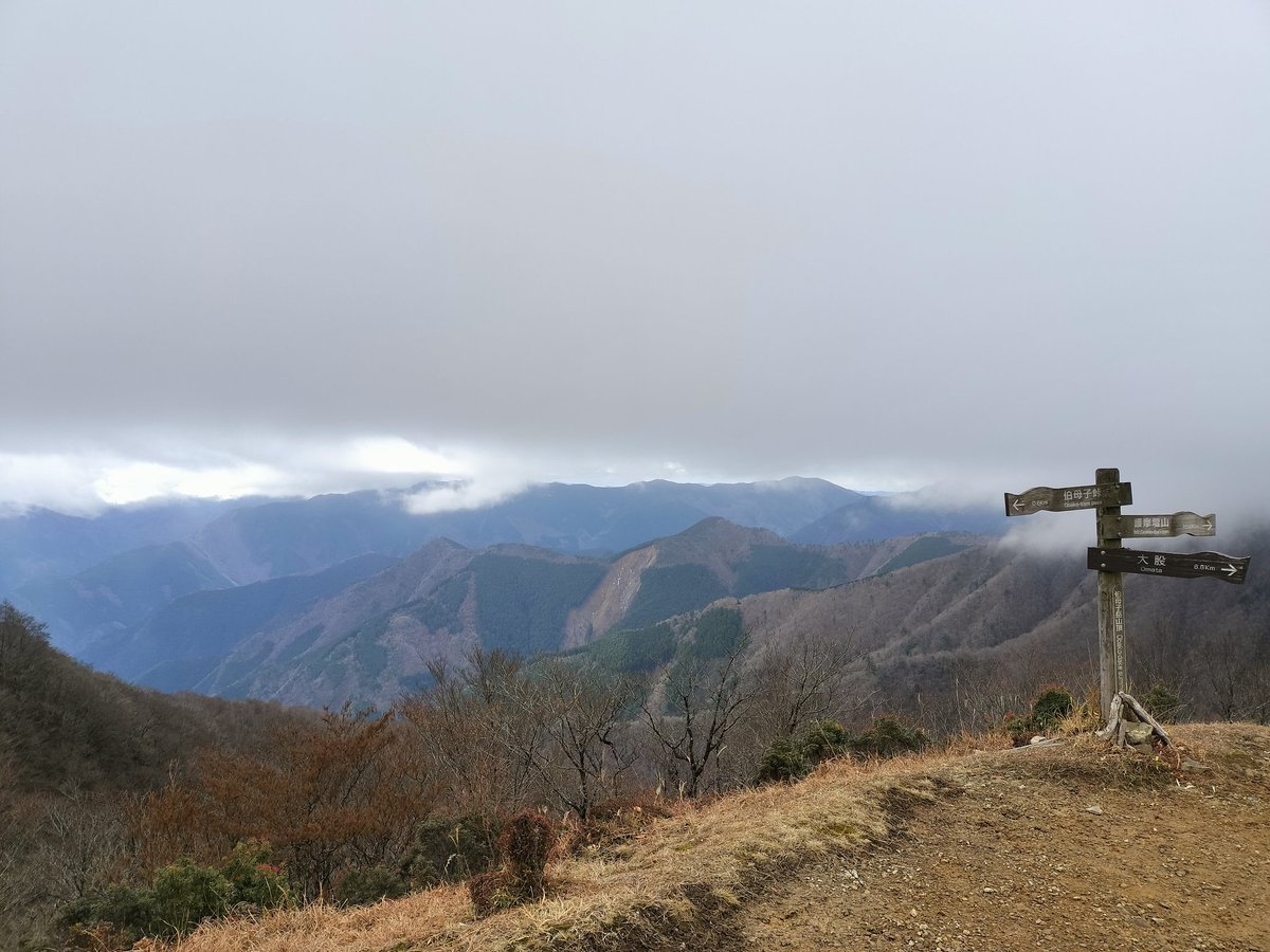 ryosuke_hat's tweet image. 先週土曜、伯母子岳1300m。
帰宅時間リミットがあるため近場で、と4年ぶり2回目の登頂。山頂に着いてからリミット時間を勘違いしていたことに気付きピンチ。標準ペースの150〜250％ペースで急いで降りるも、帰宅間に合わず大目玉。やっぱり追い詰めらられると能力ってストレッチされるよね。違うか。
