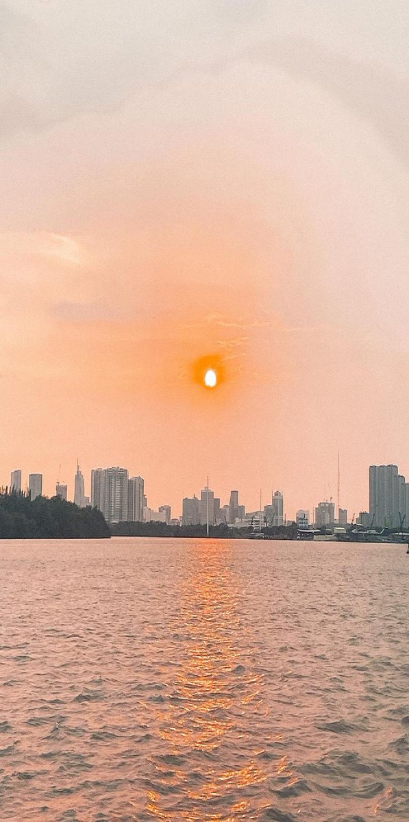 Jesus Faber tweet media