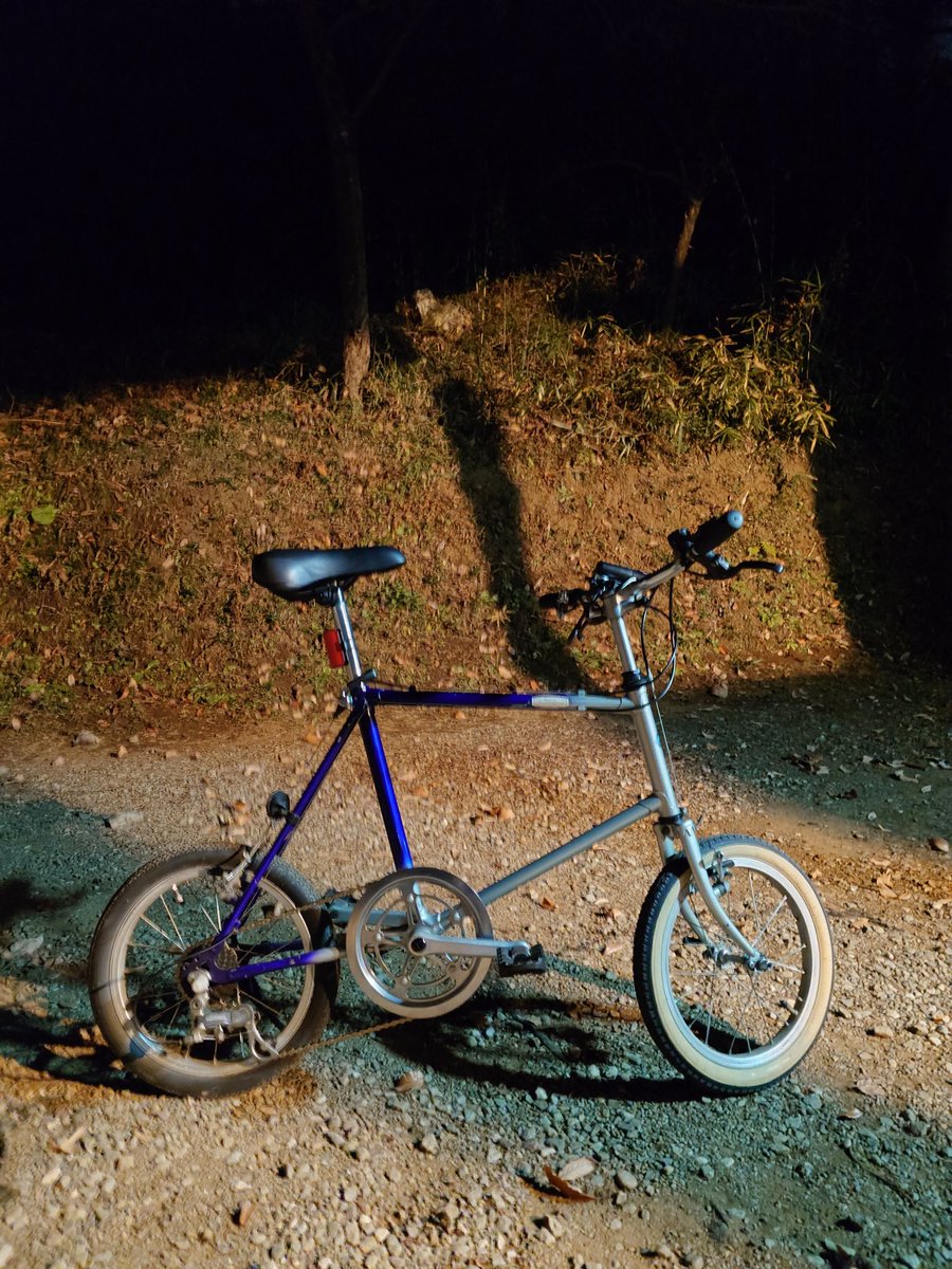 楽しい‼️‼️‼️