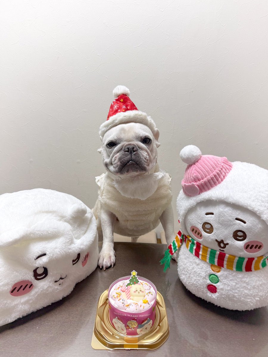 imokochaaan's tweet photo. 🍰🎄🫶🎄🍰𓈒𓏸◌゜ https://t.co/nDKDa65BdS