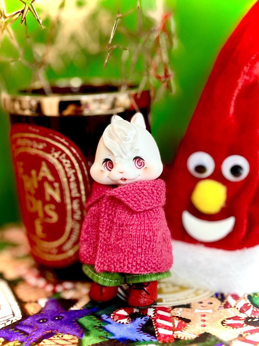 🎄🎄メリクリ🎄🎄

先日来たchacahaがクリスマスに最適解すぎた！！

目力強強💪

真っ赤なお靴もかわいい

大急ぎで編んだら大きすぎるケープできたけど写真撮っちゃう

みなさま良いクリスマスお過ごし下さい〜

👀<a href="/ToyboxMzgk/">めだまや®</a> 
👞<a href="/chouchoudollho1/">슈슈돌하우스(chouchoudollhouse)</a> 
🪮<a href="/kumu_kuku/">kumukuku</a> 

#kumukuku