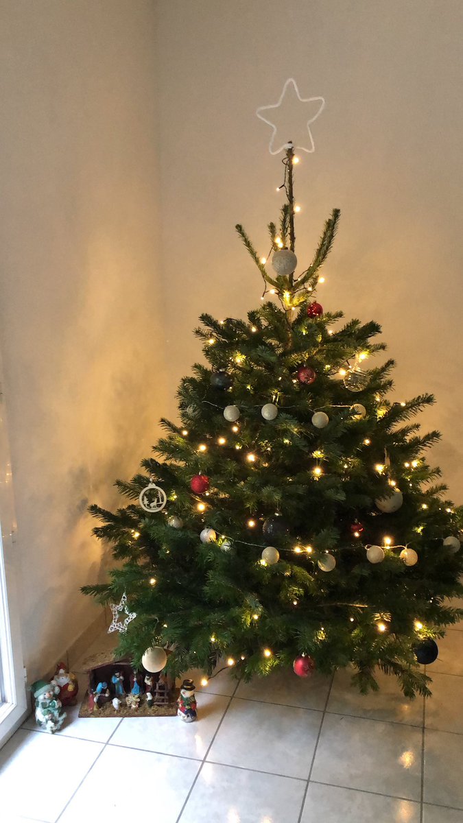 Un très joyeux Noël à tous. Que la joie et la douceur soient dans votre foyer. 🌟