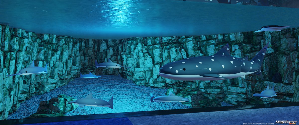 nekomeow_pso2's tweet image. NGS Ship10 
ネルコタン水族館　CS番号　797247 033935
CSで水族館作ってみましたー！
ユーイさん遊びに来てにゃー！
#NGSクリスマス生放送2025