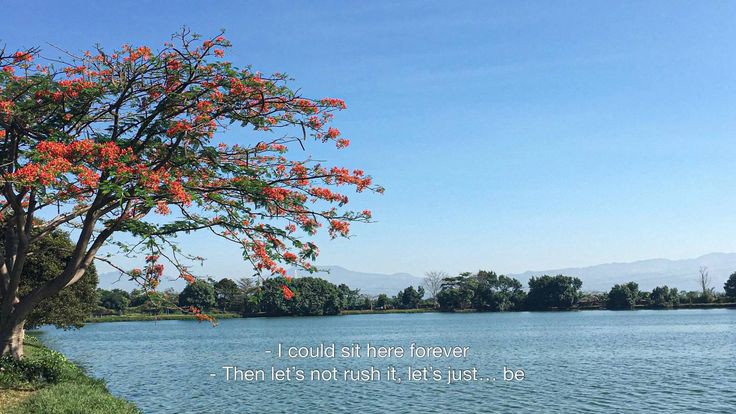 limerenuce's tweet image. 