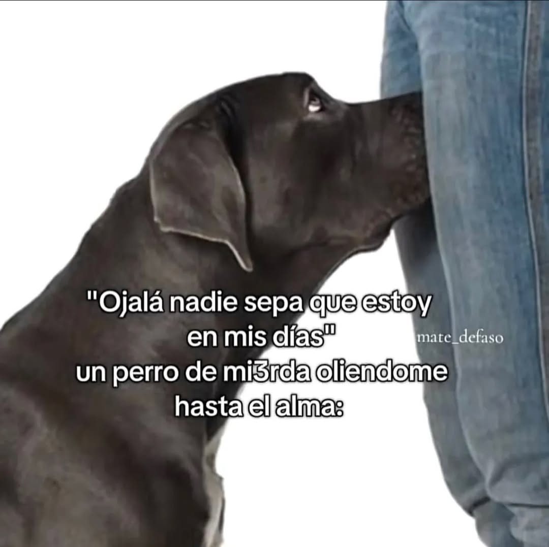 Frases Barbie (@barbie_context) on Twitter photo 