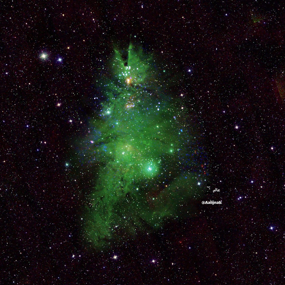 ScriptBab1's tweet image. امروز ۲۵ دسامبر، تولد مسیح و روز کریسمسه🎄
  سحابی درخت کریسمس در فاصله ۲۵۰۰ سال نوری از زمین
سحابی درخت کریسمس (Christmas Tree Cluster) یا NGC ۲۲۶۴، همراه با سحابی مخروط (Cone Nebula) و سحابی خز روباه (Fox Fur Nebula)، واقعاً یکی از زیباترین منظره‌های فضاییه.