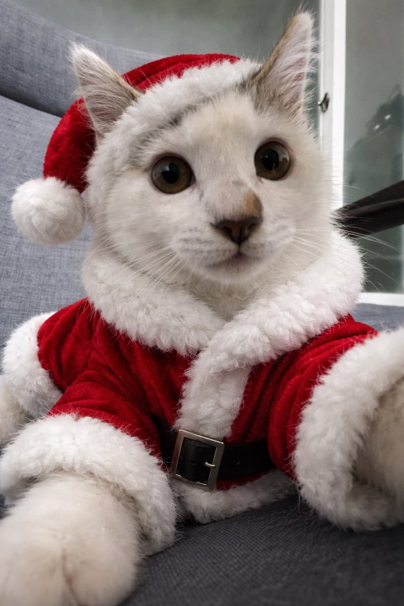 ㅇ.ㅓ. 어어. 야드라.
내가쫌늦엇지. 선물돌리고오느라. 어ㅇㅓ. 늦엇따.
ㅁㅔ리 크리스마스 보내구. 어ㅇㅓ. 
마싯능 거. 마니 머거라.