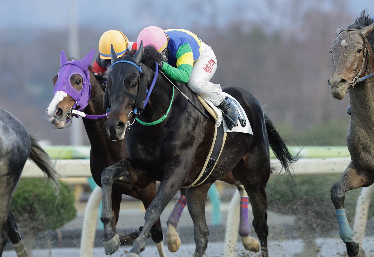 関本 玲花 🤟🏻 tweet media