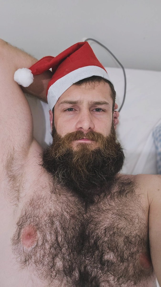 My OnlyCats tweet media