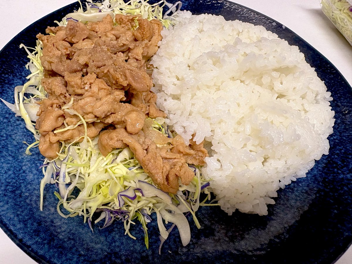 クリスマスディナーはこういうので良いんよ( '∀`) 