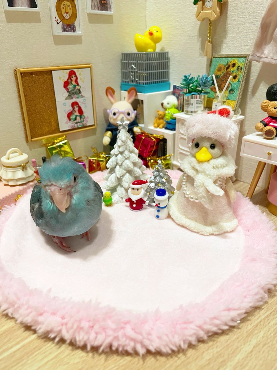 587_comugi_1015's tweet photo. ℳ𝑒𝓇𝓇𝓎𝒞𝒽𝓇𝒾𝓈𝓉𝓂𝒶𝓈𐂂

今年も可愛いクリスマス写真が撮れました📸
#マメルリハ #インコ #クリスマス https://t.co/QvanxuMsAb