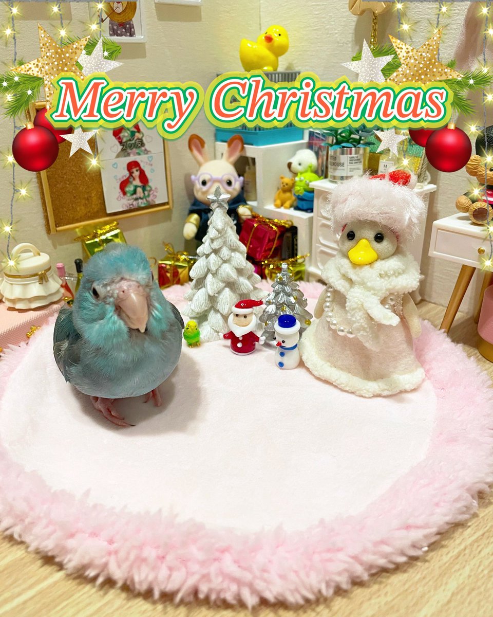 587_comugi_1015's tweet photo. ℳ𝑒𝓇𝓇𝓎𝒞𝒽𝓇𝒾𝓈𝓉𝓂𝒶𝓈𐂂

今年も可愛いクリスマス写真が撮れました📸
#マメルリハ #インコ #クリスマス https://t.co/QvanxuMsAb